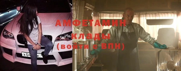 прущие грибы Верхний Тагил