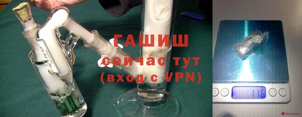 дмт Бородино