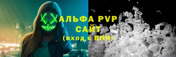 дмт Бородино