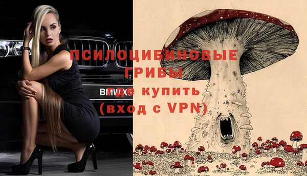 гидра Бугульма
