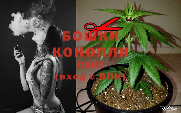 дмт Бородино