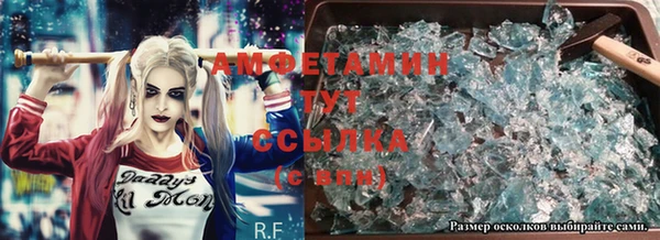 прущие грибы Верхний Тагил