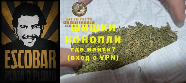 дмт Бородино