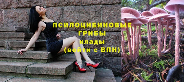 дмт Бородино