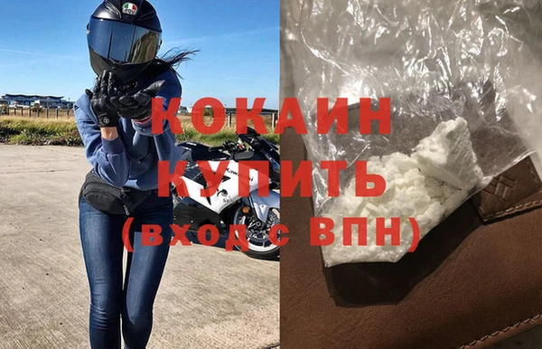 прущие грибы Верхний Тагил