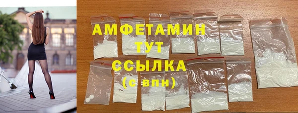 индика Богданович
