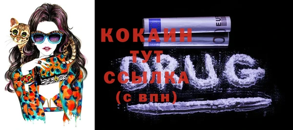 дмт Бородино