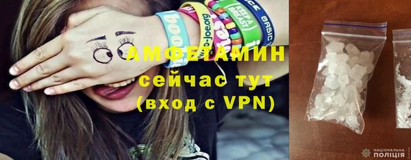 дмт Бородино