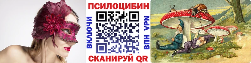 Псилоцибиновые грибы GOLDEN TEACHER  купить закладку  Гусев 